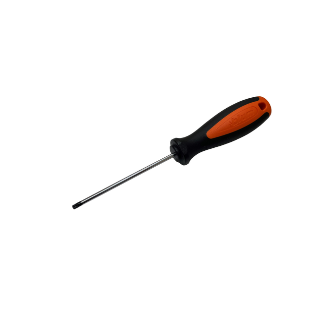 Blum Torx Screwdriver TX 20 x 100mm