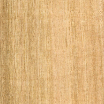 Tasmanian Oak Veneer Edging 29x0.4mm Pre-Glued - 50m