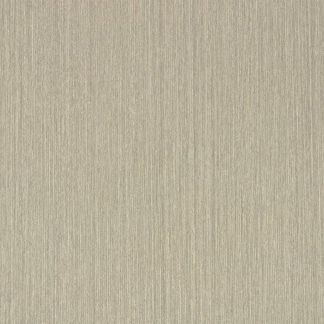 Oyster Linea ABS Edging 21x1mm x 100m-Trademasterau | Trademaster