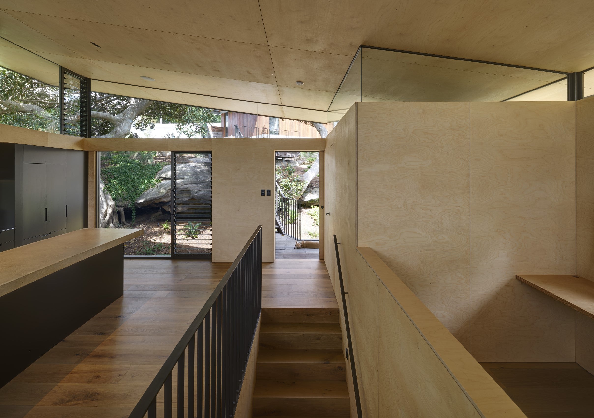 Trademaster: Birch Plywood