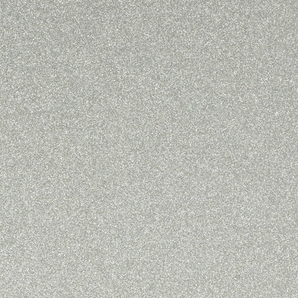 Champagne Silver Gloss - Hafele Alusion Splashback