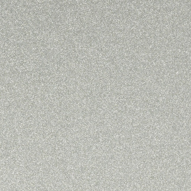 Champagne Silver Gloss - Hafele Alusion Splashback